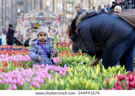 AMSTERDAM, NL - JANUARY 17: Girl holds a tulip on the National Tulip Day in Amsterdam, January 17, 2015. The start of the new tulip season is celebrated with free tulip picking on Dam Square.