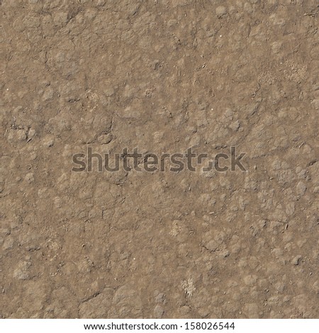Seamless brown ground texture, covered by a fine layer of loose soil and small bits of dried, white weeds.