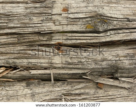 Old white wood texture with heavy cracks and splintered areas and several rusted nail heads.