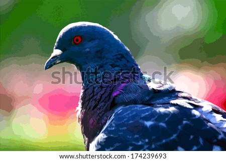 Pigeon portrait. Live traced image.