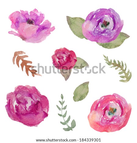 Set of Watercolor Flowers With Fern Branches. Purple and Pink Flower Blossoms. Collection. Set. Hand Painted