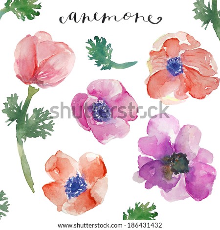 Watercolor Flowers. Hand Painted Watercolor Anemones With Watercolor Branches and Leaves