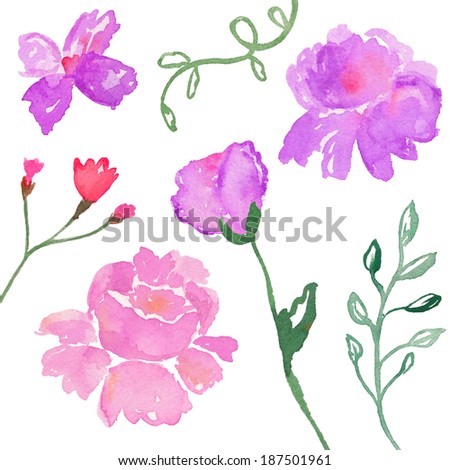 Loose Watercolor Flower Collection. Isolated Watercolor Flowers. Watercolor Leaves. Watercolor Ferns. Watercolor Laurel Branches