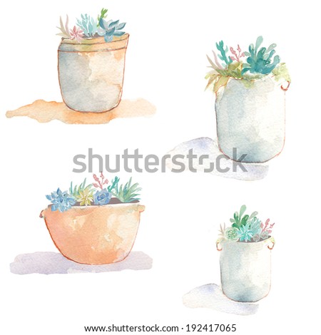 Watercolor Succulents. Potted Succulents. Potted Plants. Plants in Pots. Succulents In Pots
