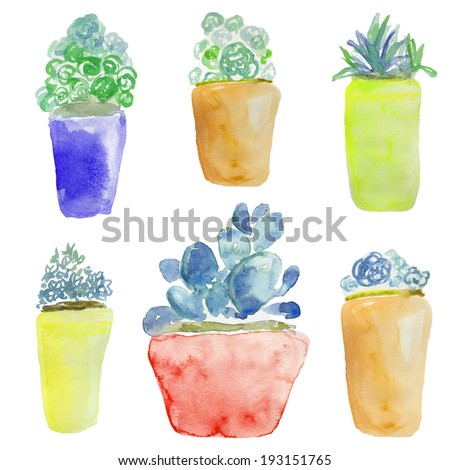 Watercolor Succulent Flower Pots. Outdoor Plants. Potted Plants. Hand Painted Succulents. Painted Cactus.