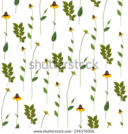 Repeating Spring Pattern. Real Flower Pattern. Repeating Flower Pattern. Daisies Pattern. Spring Leaf Pattern. Real Leaf Pattern