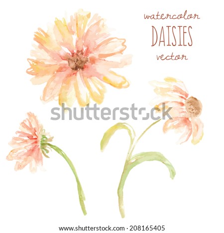Watercolor Daisy Vector Flowers. Yellow Daisy Vector. Yellow Watercolor Flower.