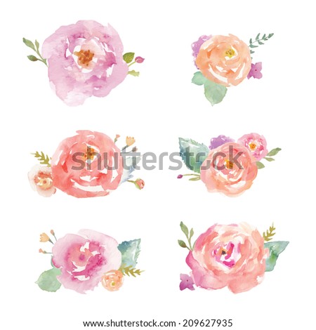 Watercolor Roses Vector. Watercolor Flower Bouquet Vector
