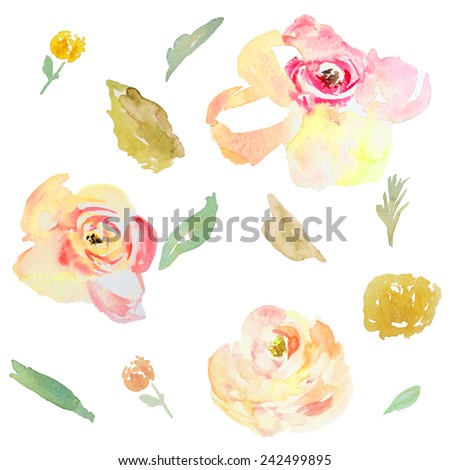 Pink and Yellow Watercolor Flowers and Leaves. Colorful Watercolor Flower Collection on Isolated White Background.