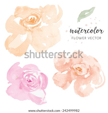 Pink and Orange Vector Watercolour Flowers. Watercolor Vector Flowers