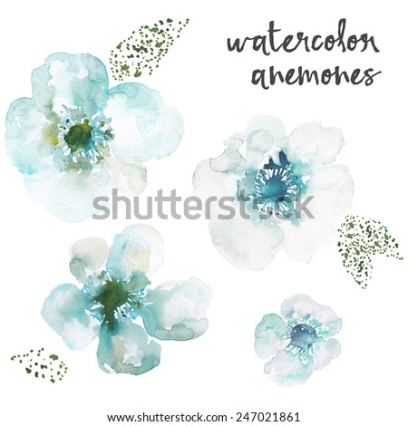 Teal Blue Watercolor Anemone Flowers