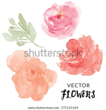 Hand Painted Watercolor Flower Vector. Vector Watercolor Flowers. Vector Watercolour Flowers