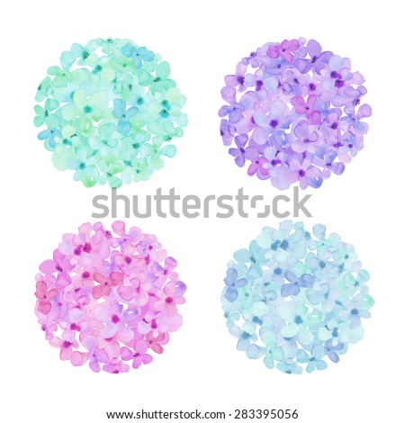 Watercolor Hydrangea Flower Ball. Watercolor Hydrangea Balls. Purple Hydrangeas. Watercolour Hydrangeas