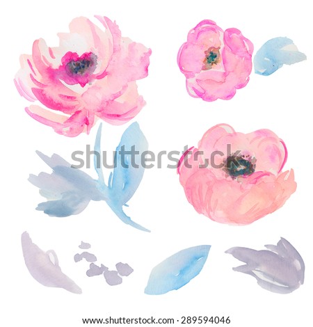 Hand Painted Watercolor Flowers. Modern Watercolor Flowers. Pink Peonies. Painted Peony Flowers. Watercolor Peonies