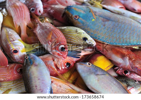 The tropical fish at fish market near Sainte Marie, Martinique, Caribbean Sea