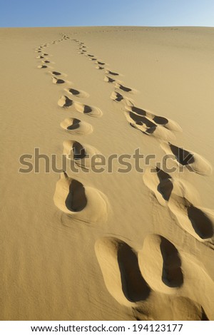 Maranhao state, Brazil -Â� August. 21. 2010 : foot steps at Lencois Maranhenses National Park,Brazil, low, flat, flooded land, overlaid with large, discrete sand dunes with blue and green lagoons