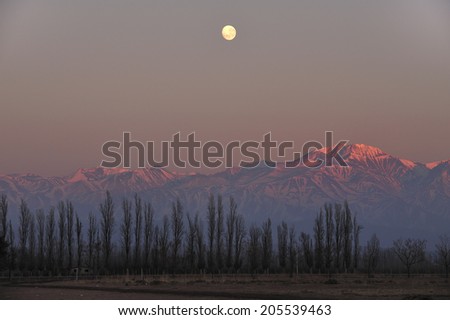 Sunrise over vineyard with snow capped mountains of Andes in Mendoza, the heart of wine making region in Argentina, famous for producing Malbec red wine