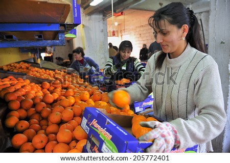 Crete, Greece, February. 1. 2008: Farmers in orange factory, Islands of Crete, Greece