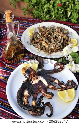 Grilled octopus and olive oil, traditional Greek food