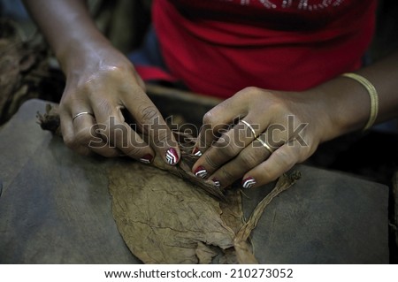 Woman rolling tobacco leaves at cigar factory