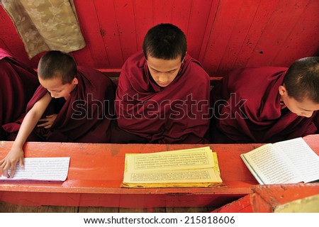 Darjeeling, India, - July. 8. 2012: monks at Druk Thupten Sangag Choling Monastery, the school of Tibetan Buddhism, Darjeeling, India