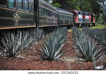 Tequila, Jalisco, Mexico October. 6. 2013: Jose Cuervo Express, passenger train for tequila tourism run by Jose Cuervo, the leading company of Tequila, town of Tequila, Jalisco, Mexico