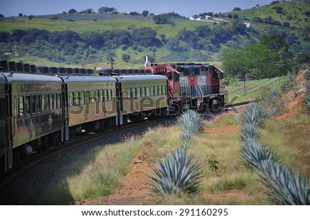 Tequila, Jalisco, Mexico  October. 6. 2013: Jose Cuervo Express, passenger train for tequila tourism run by Jose Cuervo, the leading company of Tequila, town of Tequila, Jalisco, Mexico