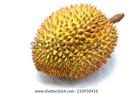 Durian fruit come from Thailand.