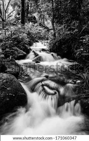 waterfall with rock black and white