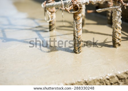 Plasterer concrete cement floor in the home