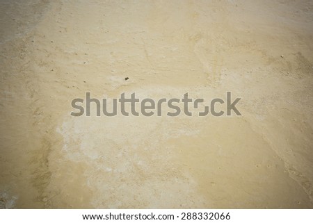 Plasterer concrete cement floor in the home