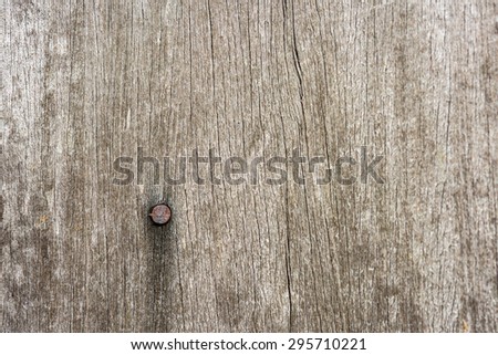 rusty nail in wood plank with grain texture