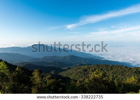 Morning fog in dense tropical rainforest, Misty mountain forest fog at doi inthanon national park of chiang mai, thailand