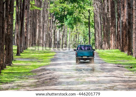 old pickup truck running on gravel road in pine forest