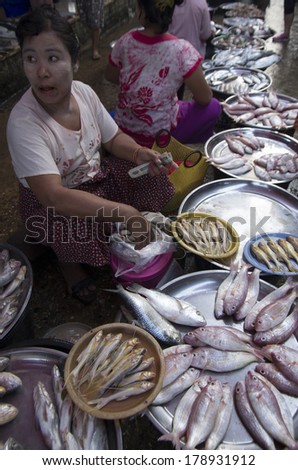 MYANMAR, BURMA - FEB 18, 2014 : A market woman with a fresh fish in the Dawei morning fresh market.