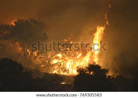 Photos from the Thomas Fire in Ventura County, California.