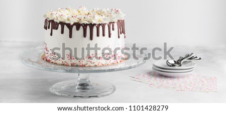 Birthday Drip Cake with chocolate ganache and sprinkles on a white background banner with party decor. Copy space. Celebration concept. Trendy Drip Cake.