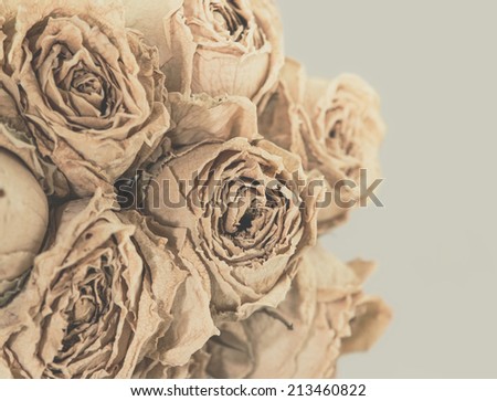 dry roses art Vintage Flowers color brown
