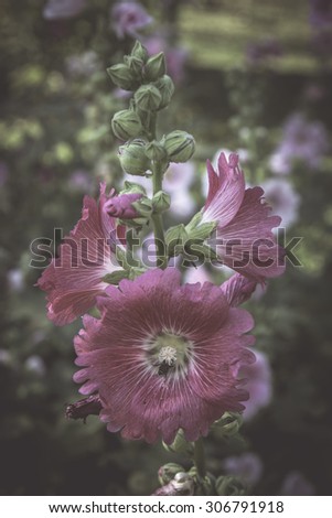 Retro flowers,Vintage Flowers background