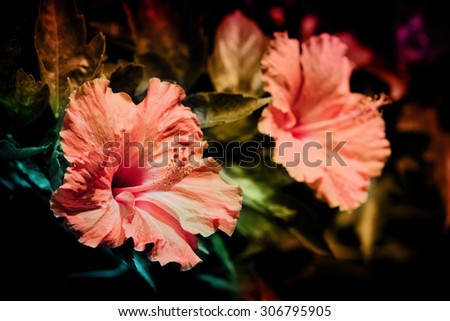Retro flowers,Vintage Flowers background
