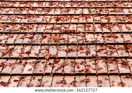Fallen autumn  leaves on a roof forming a pattern