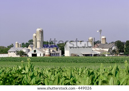 amish farm with crops