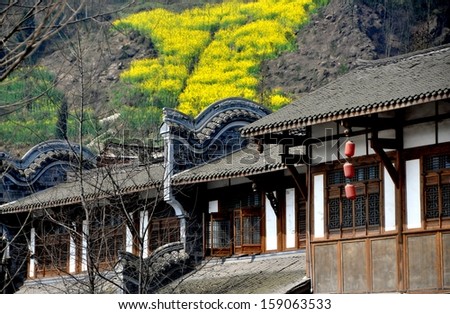 XIN XING ZHEN, CHINA:  Undulating stone roofs divide handsome wooden houses with fine lattice work windows beneath a hillside covered with yellow Rapeseed oil flowers