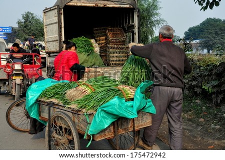 PENGZHOU, CHINA - NOV 15, 2013:  Workers loading freshly harvested green onions from a bicycle cart onto a truck at a roadside farmer\'s wholesale co-operative market