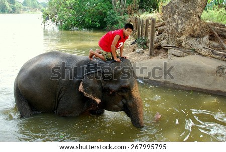 Ayutthaya, Thailand - December 22, 2010:  Young Thai boy riding atop his elephant as it bathes in a river at the Ayutthaya Elephant Royal Palace & Kraal  *