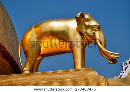 Bangkok, Thailand - January 19, 2013:  A sacred golden elephant below the giant chedi at Royal Wat Boworniwet founded by King Mongkutangkok