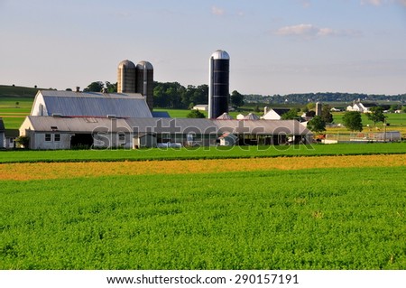 Lancaster County, Pennsylvania - June 7, 2015:  Pristine Amish farm with barns, silos, and home surrounded by fields of growing summer crops  *