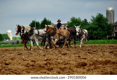 Lancaster County, Pennsylvania - June 7, 2015:  Amish youth plowing a field on the family farm using a team of six horses
