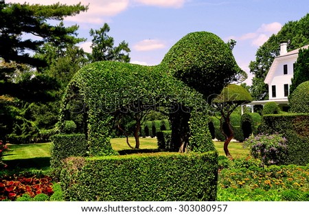 Portsmouth, Rhode Island - July 16, 2015:  A regal topiary lion at Green Animals Topiary Gardens