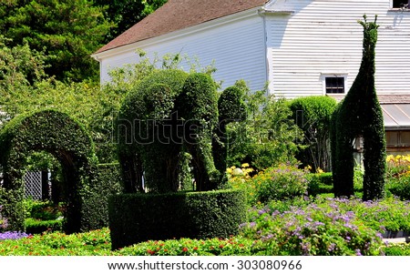 Portsmouth, Rhode Island - July 16, 2015:  Topiary archway, elephant, and giraffe at Green Animals Topiary Gardens created between 1905-1945